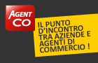 Agent-Co 